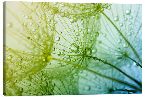 Canvas print a sea of ??drops