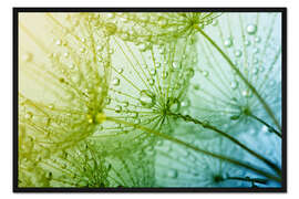 Gerahmter Kunstdruck a sea of drops