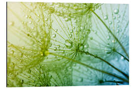 Magnettafel a sea of drops