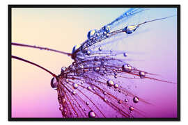 Gerahmter Kunstdruck pink fan