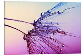 Magnettafel pink fan