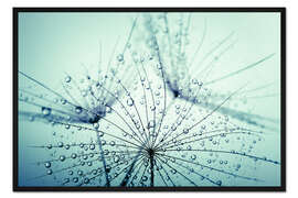 Gerahmter Kunstdruck Morgentau Fänger