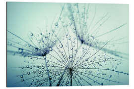 Magnettafel Morgentau Fänger