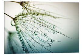 Magnettafel gefangene Tautropfen