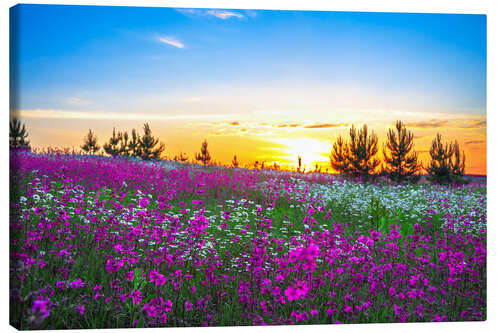 Tableau sur toile Lever de soleil sur une prairie fleurie 