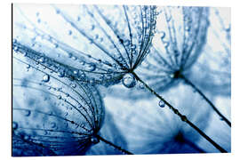 Magnettafel underwater chalices