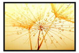 Gerahmter Kunstdruck aufgefädelte Perlen