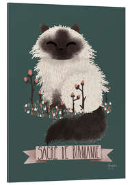 Tableau en aluminium Le chat birman
