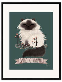 Framed art print cat breeds   birman