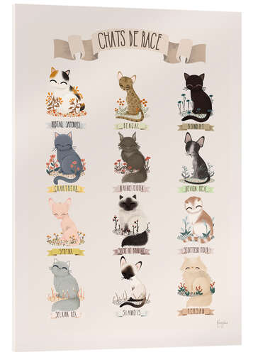Acrylic print cat breeds french