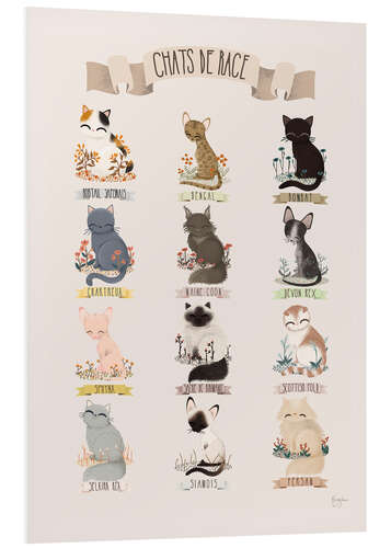 Tableau en PVC Les chats de race