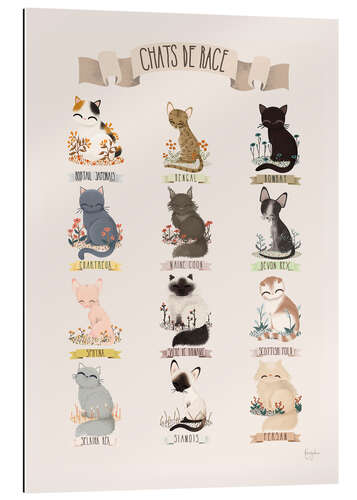 Gallery print cat breeds french