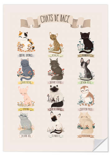 Autocolante decorativo cat breeds french