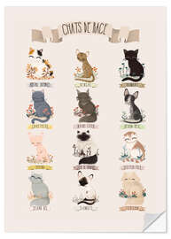 Sisustustarra cat breeds french