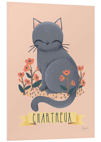 Quadro em PVC cat breeds   chartreux