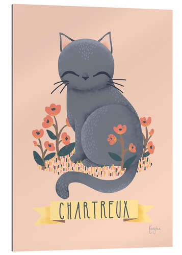 Gallery print cat breeds   chartreux