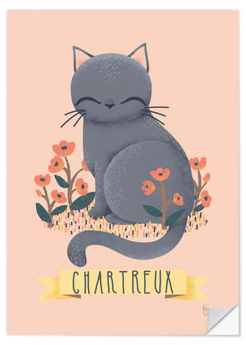 Selvklebende plakat Katteras - chartreux