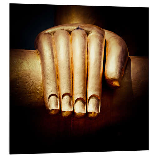 Aluminiumsbilde the golden hand