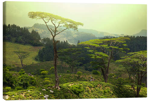 Leinwandbild Sri Lanka