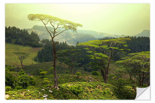 Sisustustarra Sri Lanka