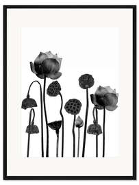 Gerahmter Kunstdruck Happy Lotus 