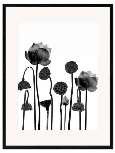 Framed art print Happy lotus