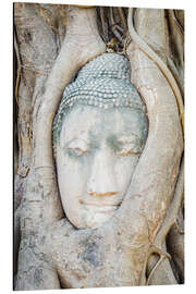 Aluminium print Buddha head behind tree trunk in Ayutthaya, Thailand