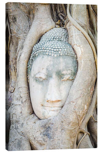 Canvastavla Buddha head behind tree trunk in Ayutthaya, Thailand