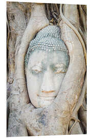 Foam board print Buddha head behind tree trunk in Ayutthaya, Thailand