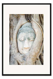 Gerahmter Kunstdruck Buddha-Kopf hinter Baumstamm in Ayutthaya, Thailand
