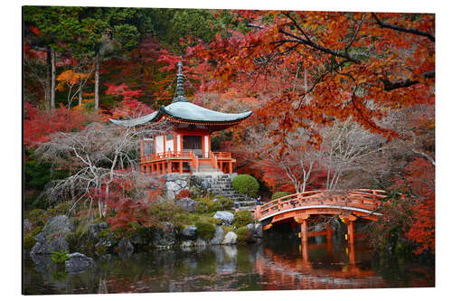 Aluminium print Daigoji tempel in Kyoto in het najaar