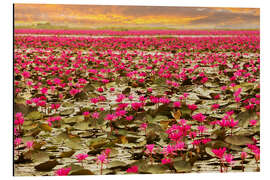 Magnettafel Lotosblumen