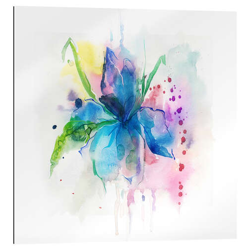 Gallery print Blue hibiscus