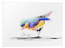 Foam board print Birdie in watercolor