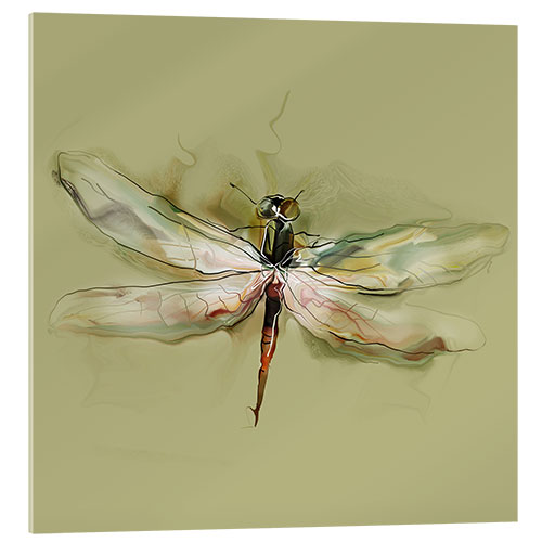 Acrylic print Dragonfly in watercolor