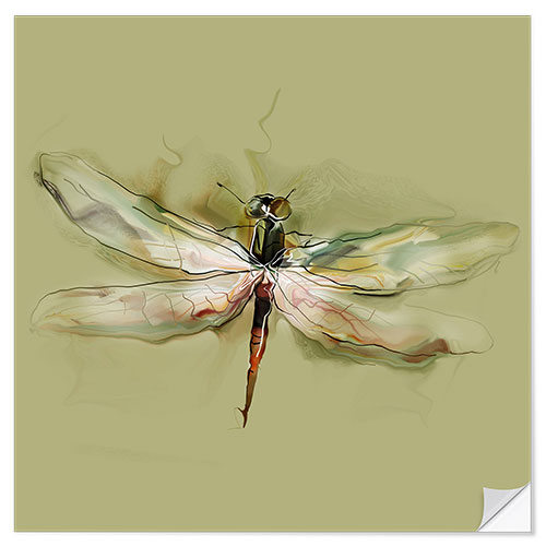 Wall sticker Dragonfly in watercolor