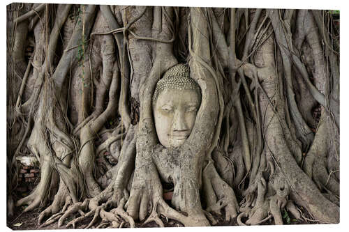 Canvastavla Buddha statue in the tree roots at Wat Mahathat