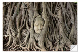 Naklejka na ścianę Buddha statue in the tree roots at Wat Mahathat