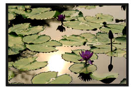 Gerahmter Kunstdruck Lila Lotusblume