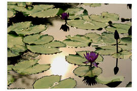 Foam board print Purple lotus flower