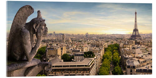 Acrylic print View over Paris from Notre Dame