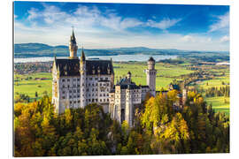 Gallery print Neuschwanstein castle in summer