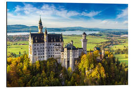 Magnettafel Schloss Neuschwanstein im Sommer
