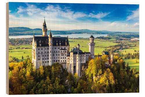 Hout print Neuschwanstein castle in summer