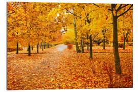 Magnettafel Orange Park