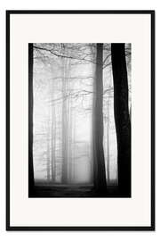 Gerahmter Kunstdruck Vernebelte Bäume