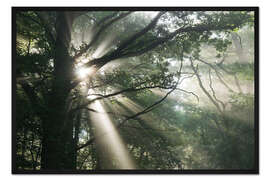 Gerahmter Kunstdruck mystischer Baum