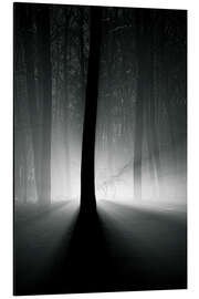 Magnettafel Winterlicht in den Bäumen