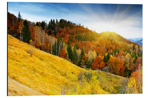 Cuadro de aluminio Autumn in Bavaria