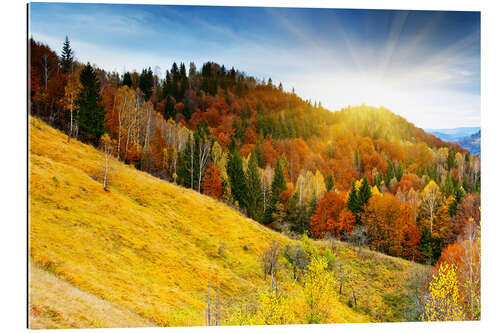 Gallery Print Herbst in Bayern